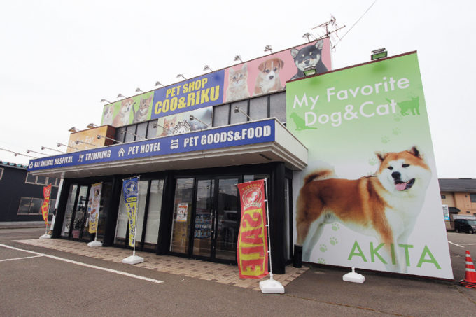 Pet Shop Coo Riku 秋田店 犬猫専門の大型ショップopen Webあきたタウン情報