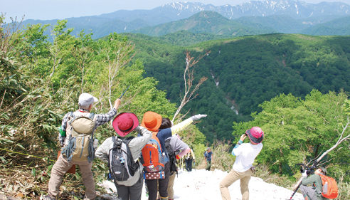 〈八峰町〉世界自然遺産白神山地 「二ッ森」自然観察会 ▷広大な白神山地のブナの森を一望