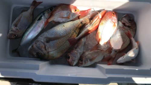 ランニングまたまた釣り