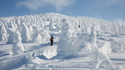 〈北秋田市〉ゴンドラで行く、日本三大樹氷 森吉山▷一面に広がる樹氷の世界を堪能