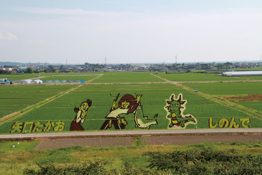 八郎潟町〉田んぼアート▷「釣りキチ三平」の田んぼアートが見頃を