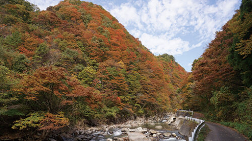 〈秋田市〉岨谷峡の紅葉▷岩見川上流で美しく染まる景勝地