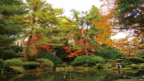 〈大館市〉鳥潟会館▷紅葉シーズンに色付く趣のある庭園