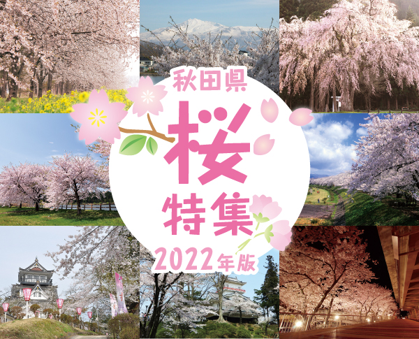 【2022年最新】秋田の人気桜スポット16選 満開の花見を楽しもう！