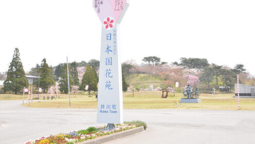 〈井川町〉日本国花苑▷季節の花々が訪れる人を楽しませる
