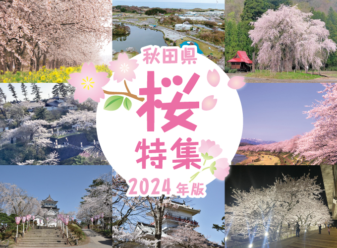 【2024年最新】秋田の人気桜スポット16選 満開の花見を楽しもう！