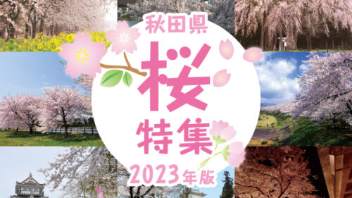 【2023年最新】秋田の人気桜スポット18選 満開の花見を楽しもう！
