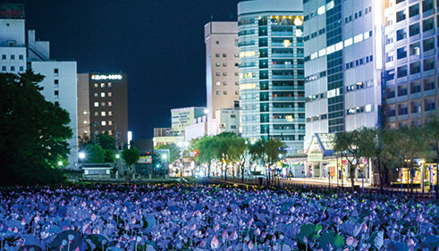〈秋田市〉千秋公園蓮の花ライトアップ▷見頃の蓮の花が夜は幻想的に