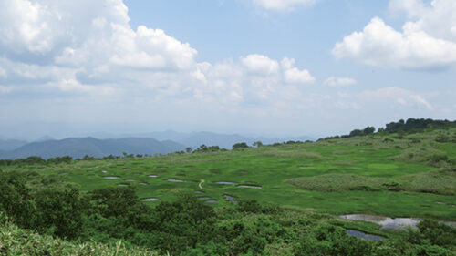 〈大館市〉田代岳▷池塘と高山植物の絶景に出会う