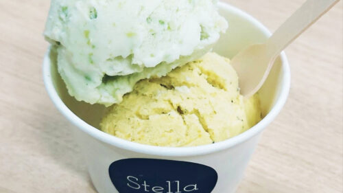 高校生が運営するジェラート店「Stella（ステラ）」がJR横手駅にオープン！
