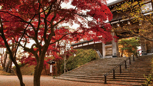 〈秋田市〉千秋公園▷史跡と色付く紅葉の共演は必見