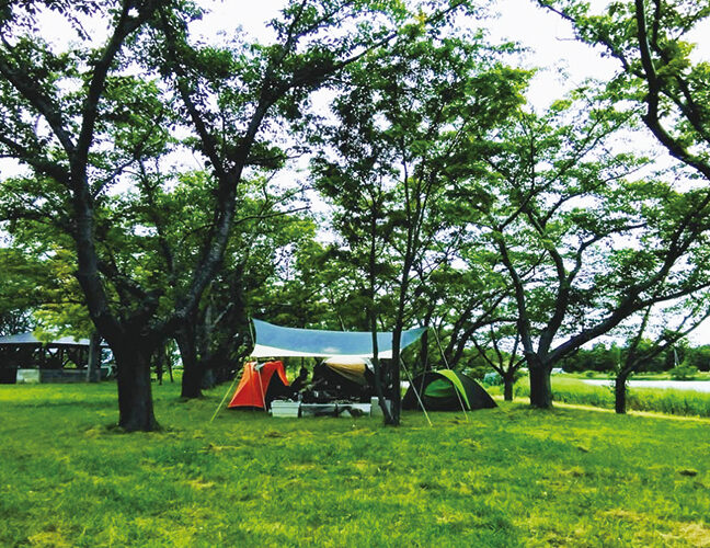 〈大潟村〉南の池公園入植記念公園キャンプ場▷開放的な公園でいち早く春キャンプを