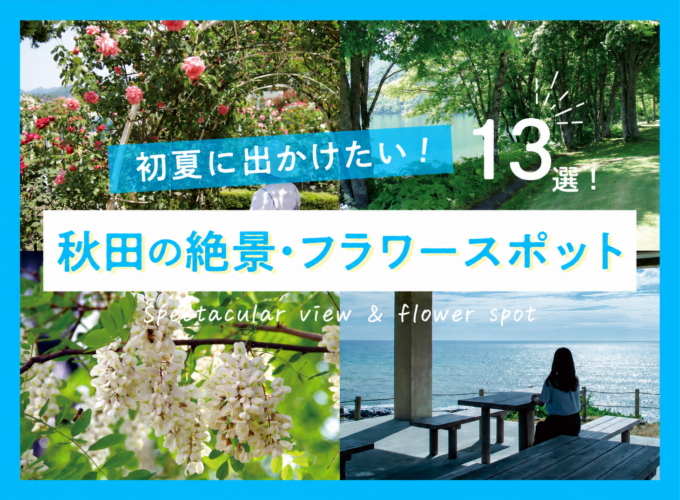 【2026】初夏に出かけたい秋田の絶景・フラワースポット13選