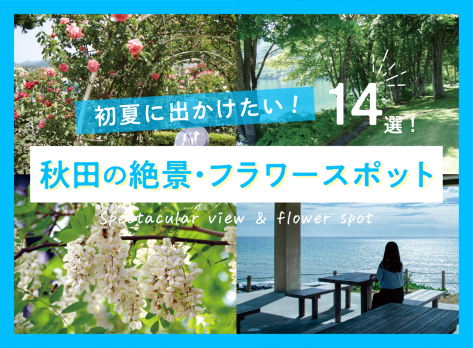 【2026】初夏に出かけたい秋田の絶景・フラワースポット14選