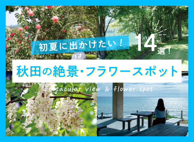 【2024】初夏に出かけたい秋田の絶景・フラワースポット14選