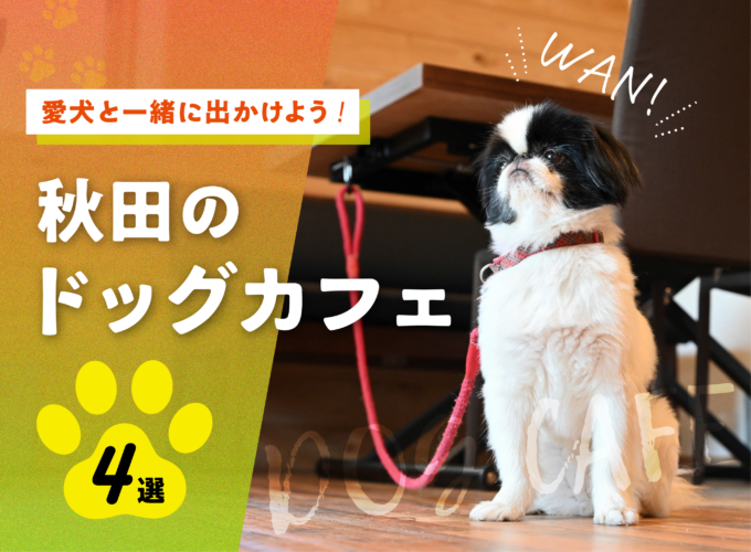 【2024】愛犬と一緒に出かけよう！ 秋田のドッグカフェ4選
