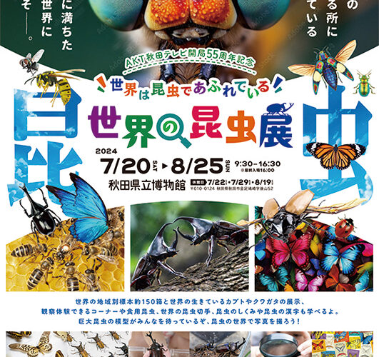 AKT秋田テレビ開局55周年記念　世界の昆虫展▷多様性に満ちた昆虫の世界へ！