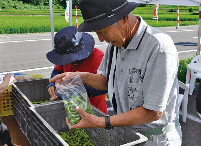 お盆の市▷旬の夏野菜をお得にゲットできる