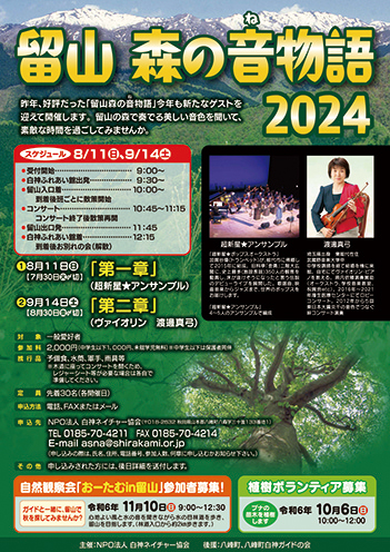 留山 森の音物語2024　第二章「ヴァイオリン 渡邉真弓」▷森の中で奏でるヴァイオリンの調べ