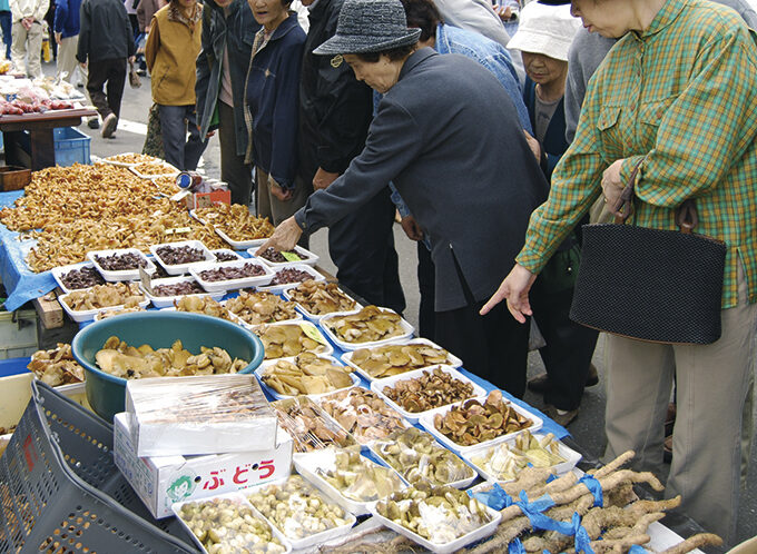 秋の朝市「きのこまつり」▷五城目朝市が旬のキノコで彩られる！