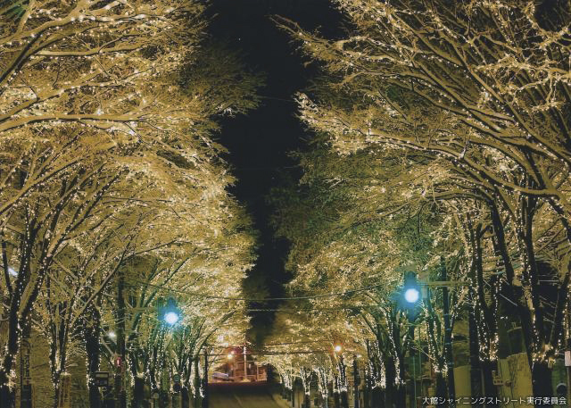 大館シャイニングストリート▷冬の夜空に映える幻想的なけやき並木