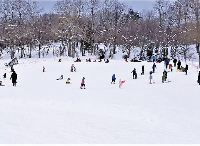 赤坂総合公園スノーパーク▷雪で思いっきり遊べる特設会場が登場