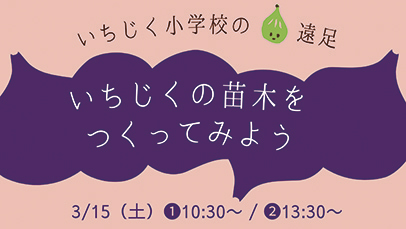 いちじく小学校の遠足『いちじくの苗木をつくってみよう』▷「いちじく小学校」で挿し木のワークショップ　にかほ市の特産・いちじくを育ててみよう