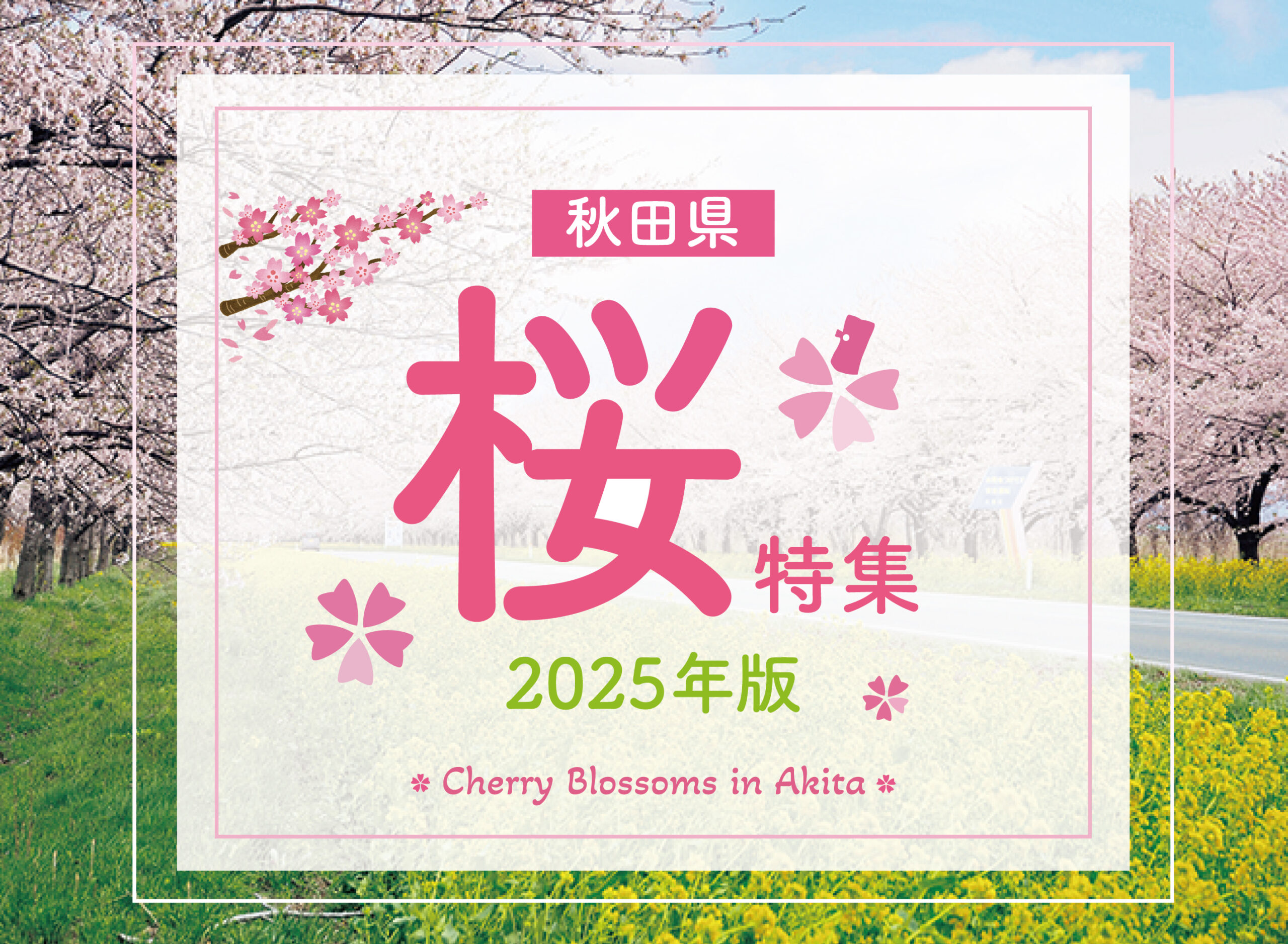 2025年最新】秋田の人気桜スポット12選 満開の花見を楽しもう！ | 日刊
