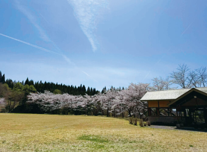 仏社地区山村広場▷広い芝生でキャンプやBBQを存分に