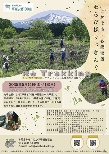 冬師湿原わらび採りっきんぐ▷トレッキングしながらわらび採り体験を