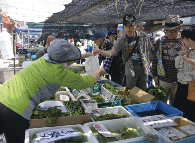 春の朝市　山菜まつり▷今が旬の山菜と郷土の味を楽しめる