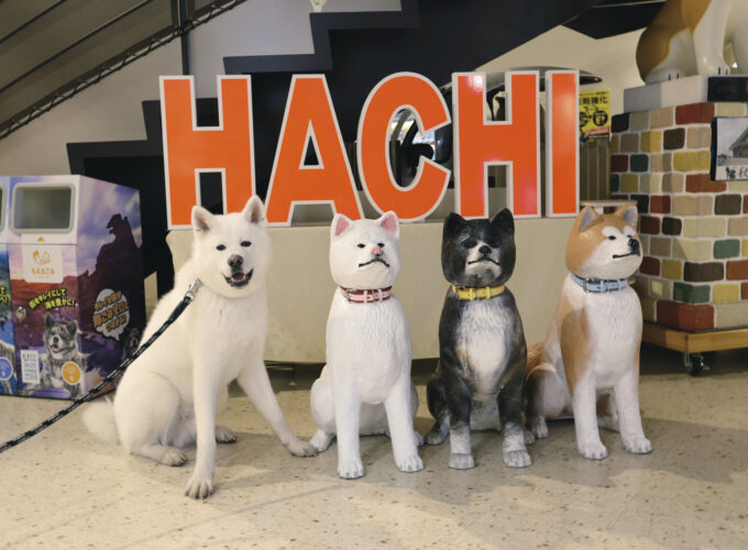 秋田犬の里▷秋田犬ファンにはたまらないスポット