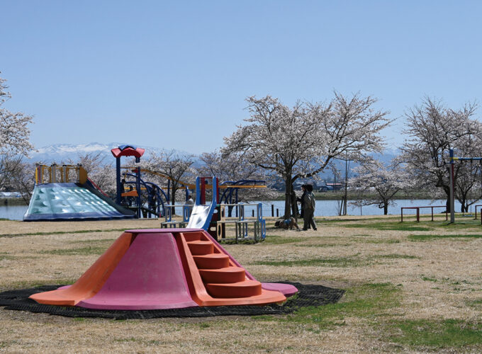 アルカディア公園▷桜咲く公園でピクニックやアウトドアを