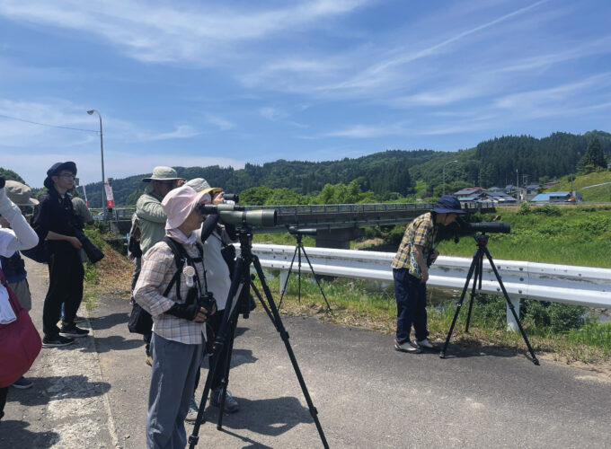 春の鳥見さんぽ▷プロと歩く！　藤琴川の野鳥観察体験