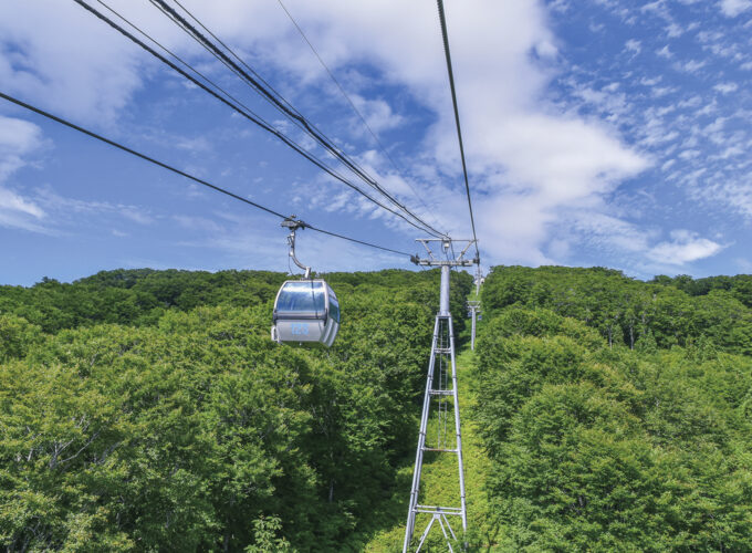 森吉山春夏ゴンドラ▷ゴンドラで森吉山の新緑と高山植物を楽しもう