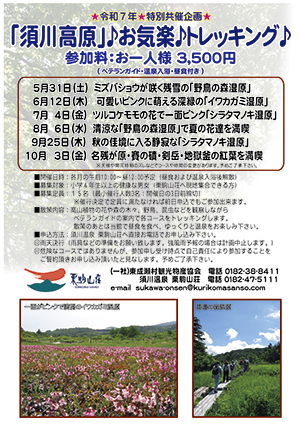 「須川高原」♪お気楽♪トレッキング♪▷可愛らしいツルコケモモの実が一面に