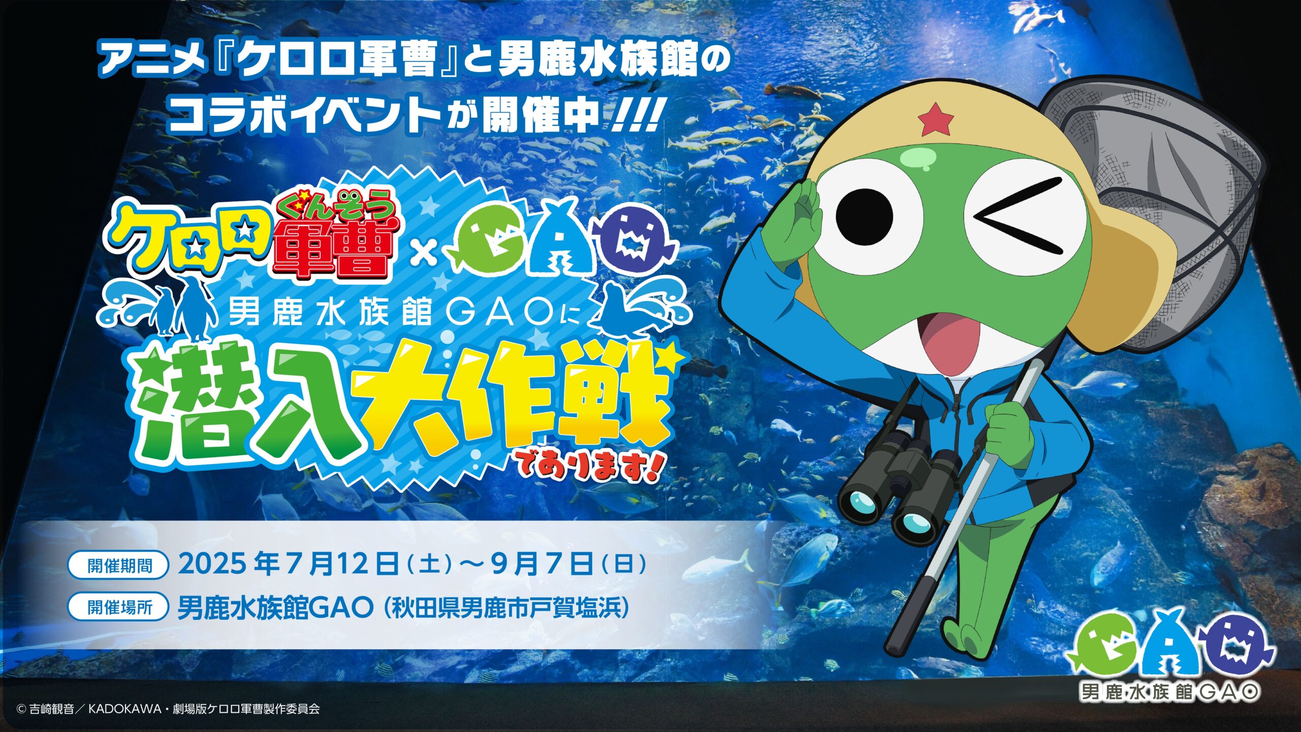 ケロロ軍曹 男鹿水族館GAO 限定ステッカー ケロロ軍曹 Animation