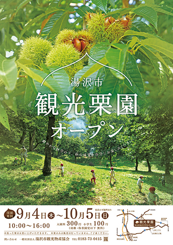 湯沢市観光栗園▷この秋のレジャーは栗拾いで決まり！
