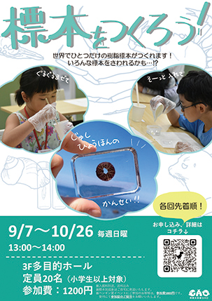 標本をつくろう！▷男鹿水族館GAOで秋の日曜に行う体験教室