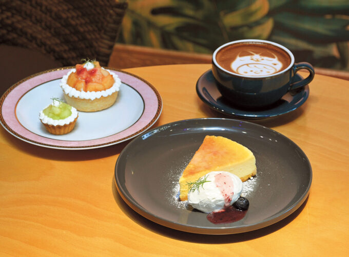 GREEN TERRACE グリーンテラス▷観葉植物に囲まれた異国ムードのカフェが商店街に