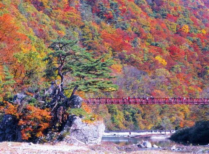 抱返り紅葉祭▷気軽に散策できる名所で紅葉を満喫♪