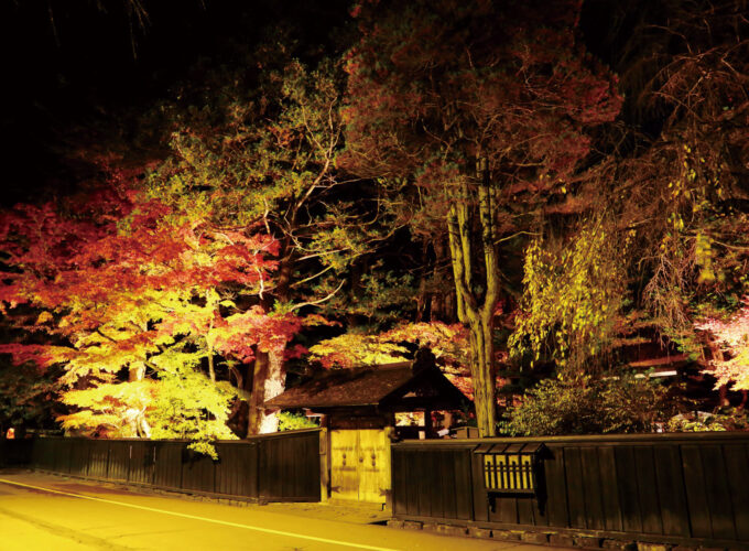 武家屋敷通り紅葉ライトアップ2025▷武家屋敷通りが幻想的に照らされる