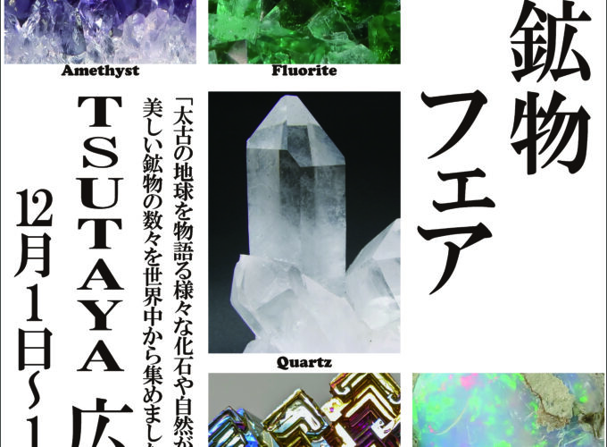 POP-UP「化石・鉱物フェア」▷化石愛好家必見のポップアップを展開！
