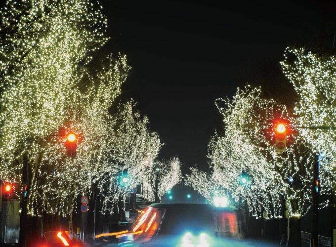 第19回シャイニングストリート▷雪と光が織り成す幻想イルミネーション