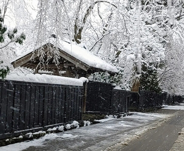 きもの散策kakunodate▷新しい年の始まりは着物でゆったり散策を　武家屋敷通りで和の時間を楽しむ一日