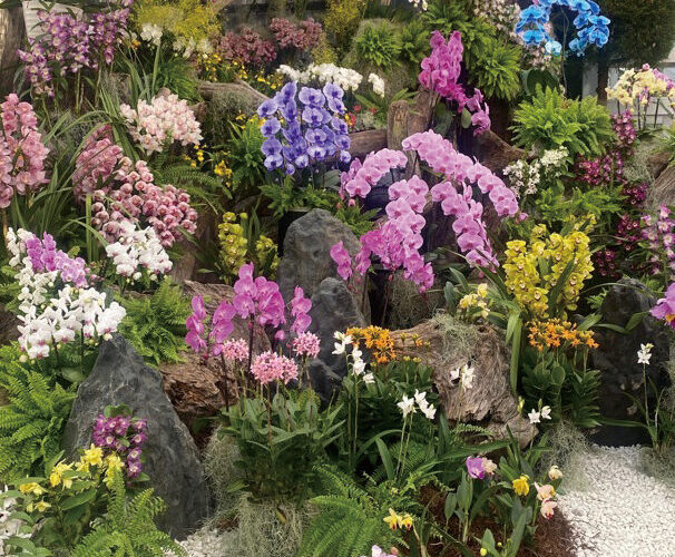 ブルーメッセあきた　世界の蘭フェア＆真冬の花の祭典▷蘭と草花が織り成す美しさを堪能