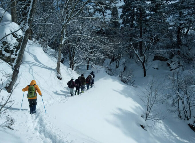銀世界のパワースポット七座山を歩く　かんじき体験ツアー▷雪の森を歩いて出会う動物の足跡