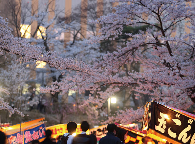 千秋公園桜まつり▷屋台グルメを味わいながら桜を満喫