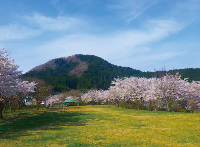 塞ノ神農村公園▷桜に囲まれた高台の広場でピクニック