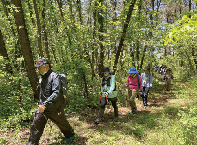 第22回秋田白神ノルディックウォーキングin能代▷広大な松林を歩くフィットネスに挑戦！